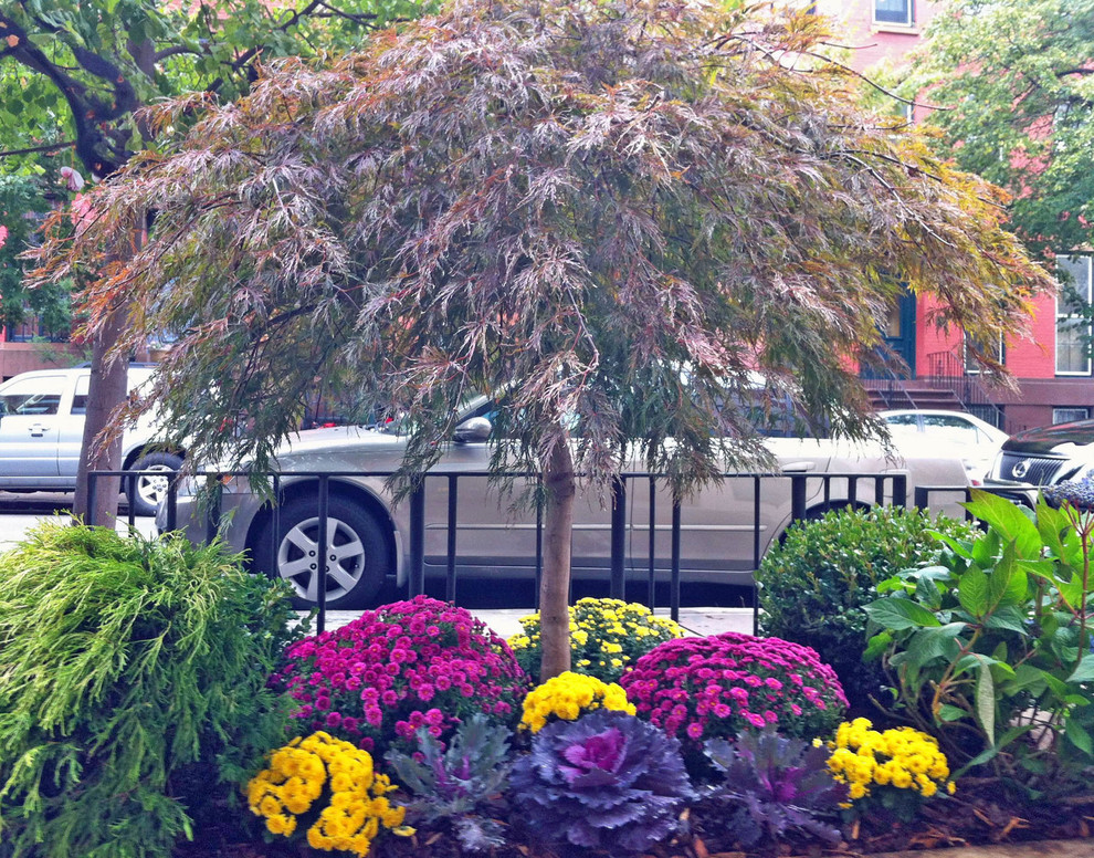 Boerum Hill Brooklyn Nyc Townhouse Garden Design Sidewalk Fall Planter Contemporary Landscape New York By Amber Freda Garden Design Houzz