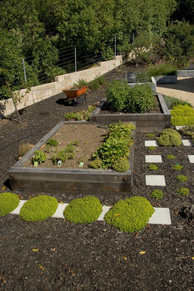 Design ideas for a midcentury garden in San Luis Obispo with a retaining wall.