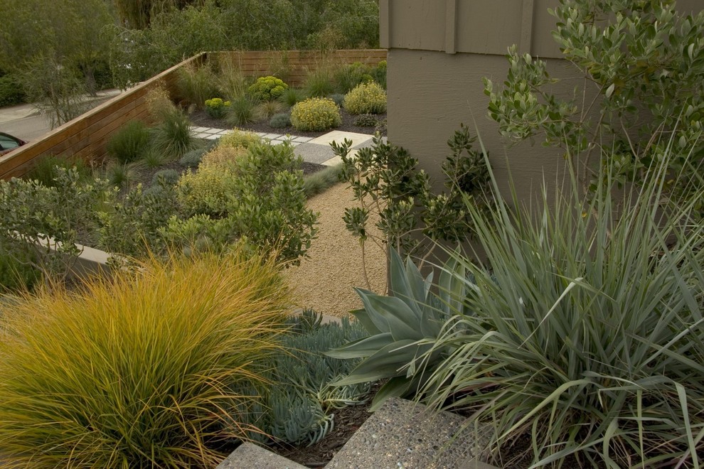 Стильный дизайн: участок и сад среднего размера на заднем дворе в стиле ретро - последний тренд