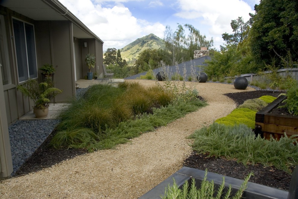 Design ideas for a mid-century modern vegetable garden landscape in San Luis Obispo.