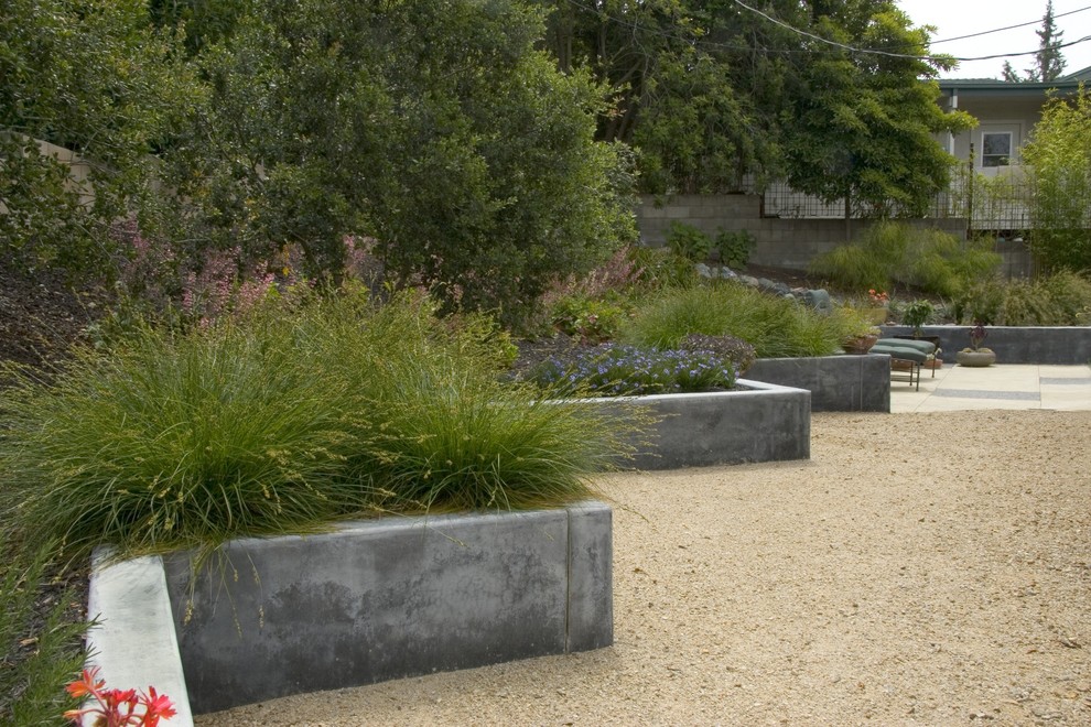 Photo of a midcentury garden in San Luis Obispo with a retaining wall.