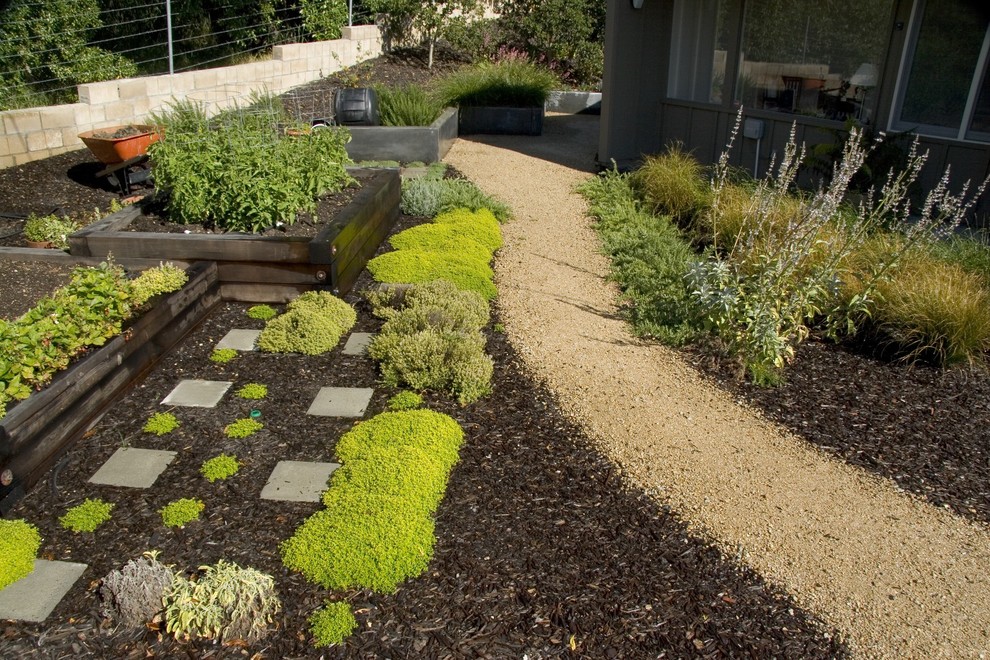 Photo of a midcentury garden in San Luis Obispo with a retaining wall.