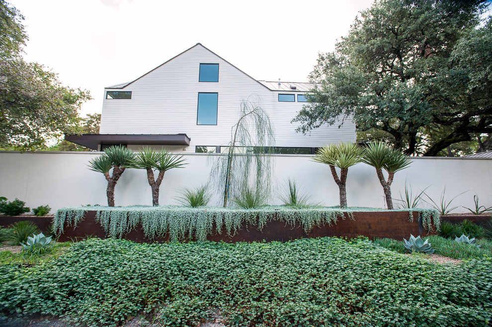 Moderner Vorgarten im Sommer mit Kübelpflanzen in Austin