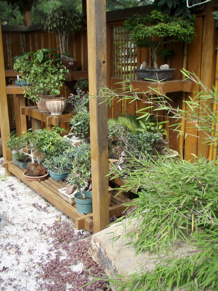 Bonsai Display Garden Asian Landscape Baltimore by Garden