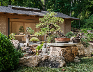Zen Garden Design with Bonsai Trees