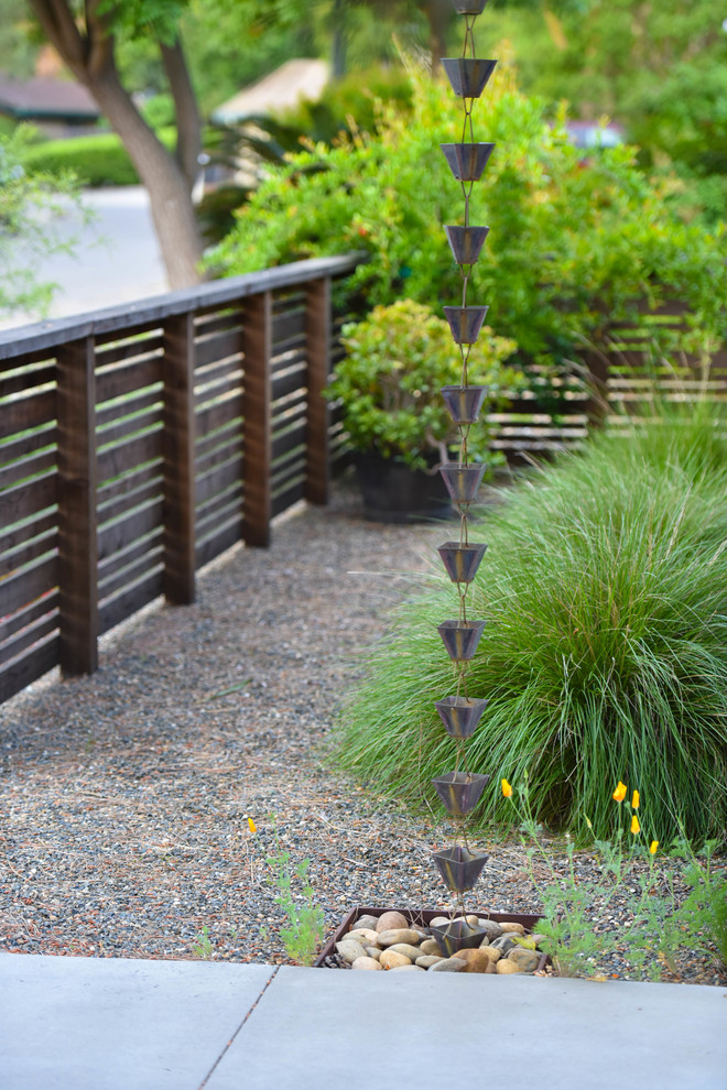 Ejemplo de jardín de secano minimalista de tamaño medio en patio delantero con exposición parcial al sol y gravilla