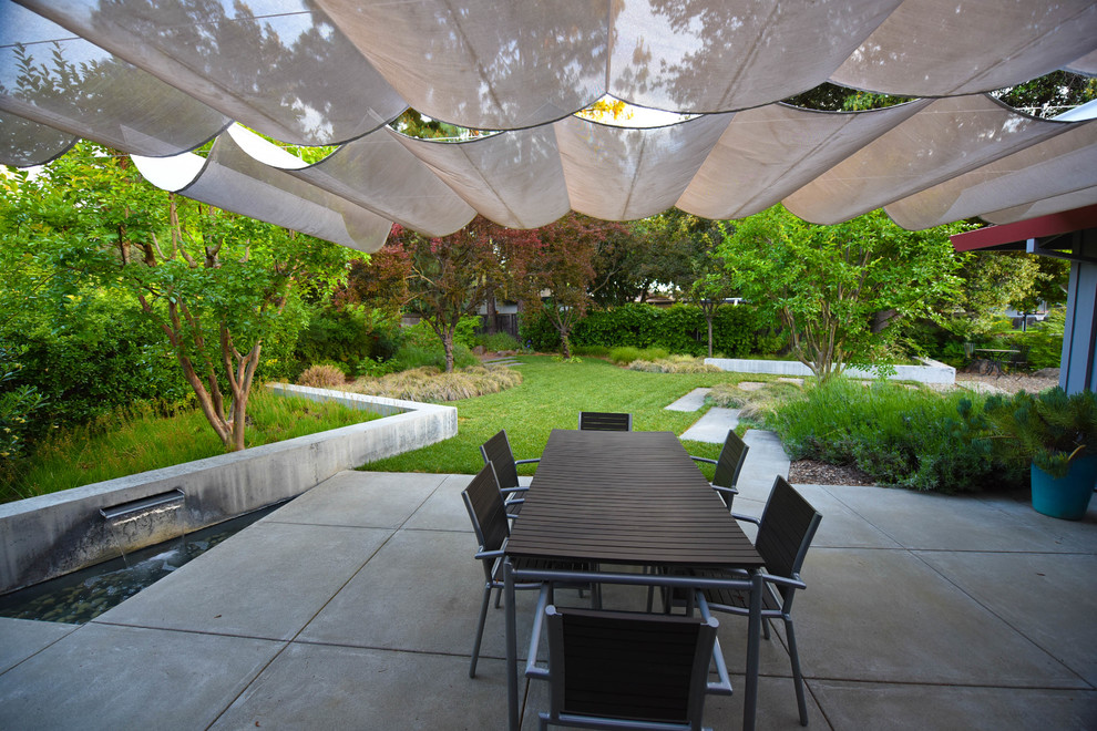 Patio - mid-sized modern side yard concrete paver patio idea in Sacramento
