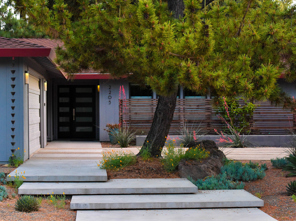 Diseño de camino de jardín moderno de tamaño medio en patio delantero con exposición total al sol y adoquines de hormigón