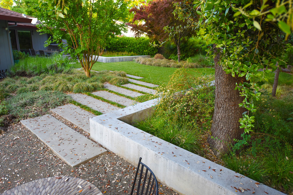 Свежая идея для дизайна: засухоустойчивый сад среднего размера на заднем дворе в стиле модернизм с полуденной тенью и мощением тротуарной плиткой - отличное фото интерьера