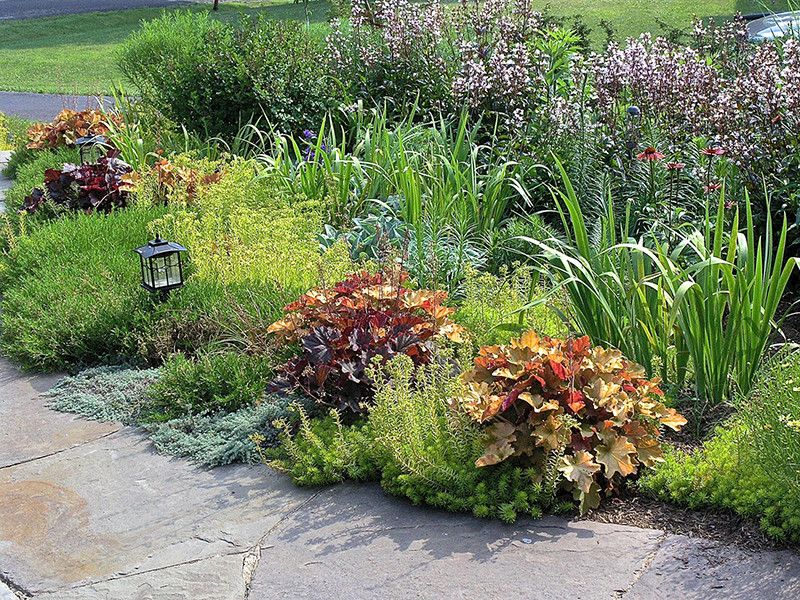 Immagine di un piccolo giardino design esposto in pieno sole davanti casa in estate con pavimentazioni in pietra naturale