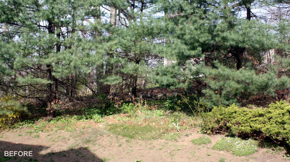 Immagine di un piccolo giardino design in ombra dietro casa in primavera con pedane