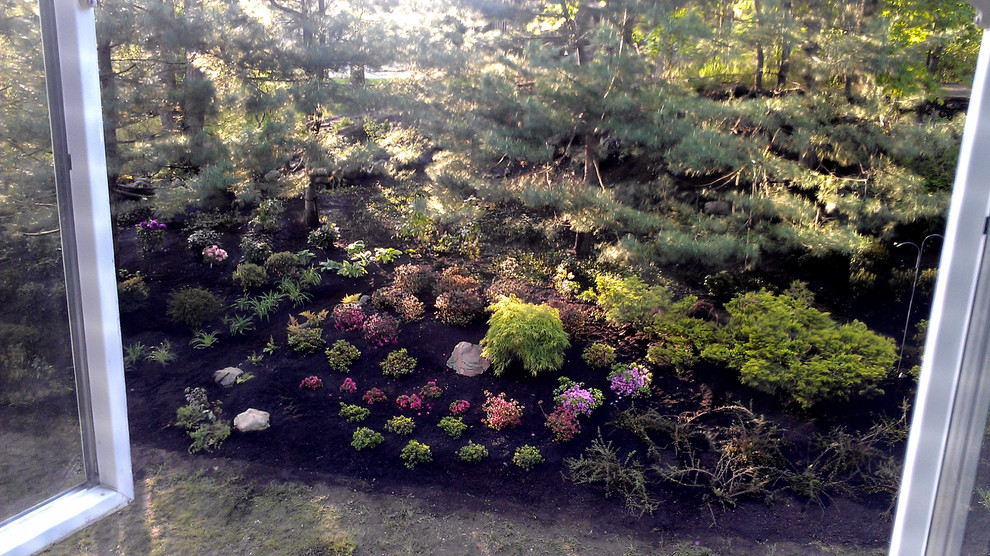 Immagine di un piccolo giardino minimal in ombra dietro casa in primavera con pedane