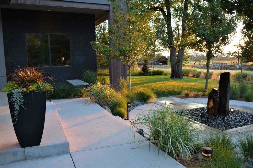 Cette image montre un jardin avant minimaliste de taille moyenne avec une exposition partiellement ombragée et des pavés en béton.