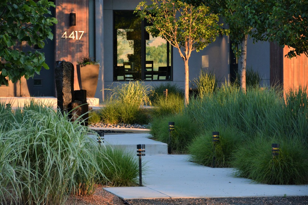 Ispirazione per un giardino formale minimalista esposto a mezz'ombra di medie dimensioni e davanti casa con un ingresso o sentiero e pavimentazioni in cemento