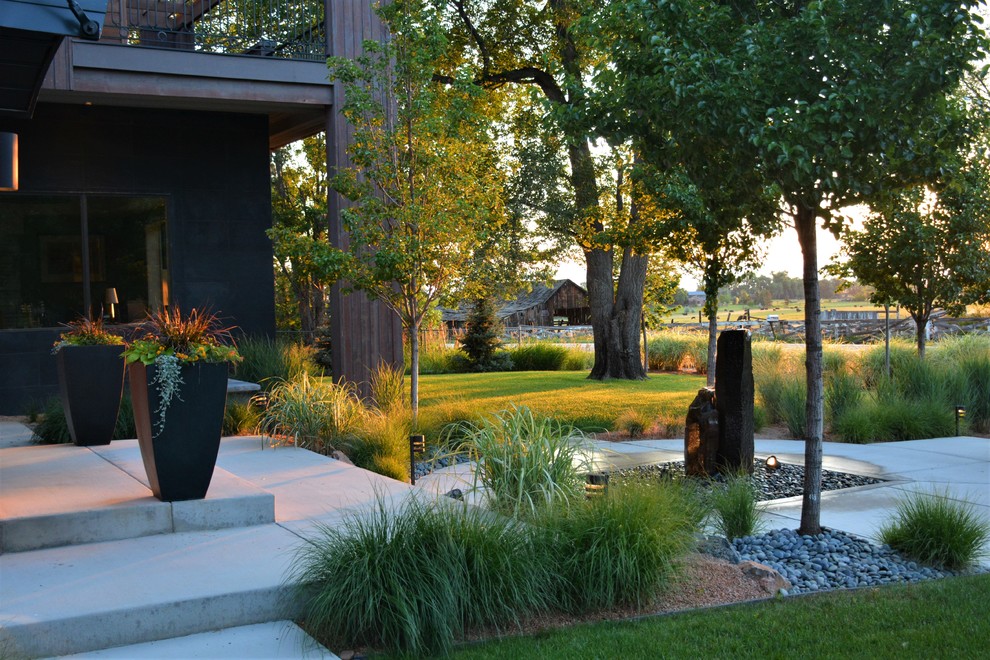 Design ideas for a medium sized modern front formal partial sun garden in Denver with a garden path and concrete paving.