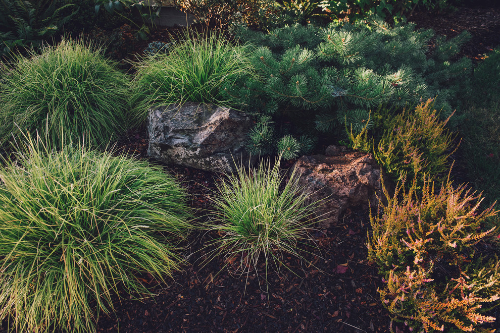 Inspiration for a mid-sized modern drought-tolerant and full sun front yard mulch garden path in Other for summer.