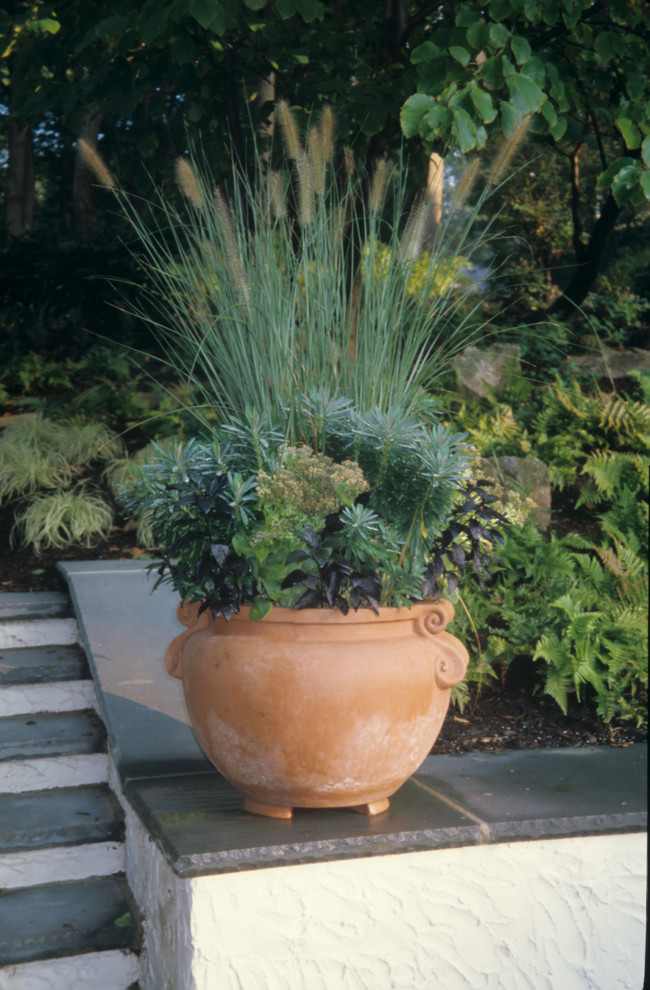 Immagine di un giardino design esposto a mezz'ombra di medie dimensioni e dietro casa in estate con un giardino in vaso e pavimentazioni in pietra naturale