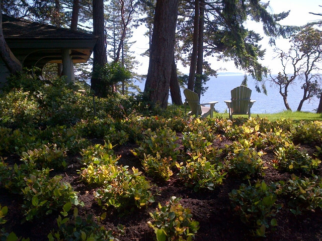 Mittelgroßer, Halbschattiger Uriger Garten in Vancouver
