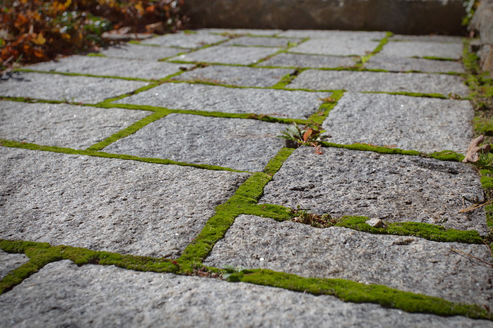 Idee per un piccolo giardino country esposto a mezz'ombra davanti casa in autunno con pavimentazioni in pietra naturale