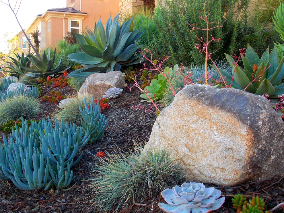 На фото: весенний засухоустойчивый сад на переднем дворе в средиземноморском стиле с покрытием из гравия