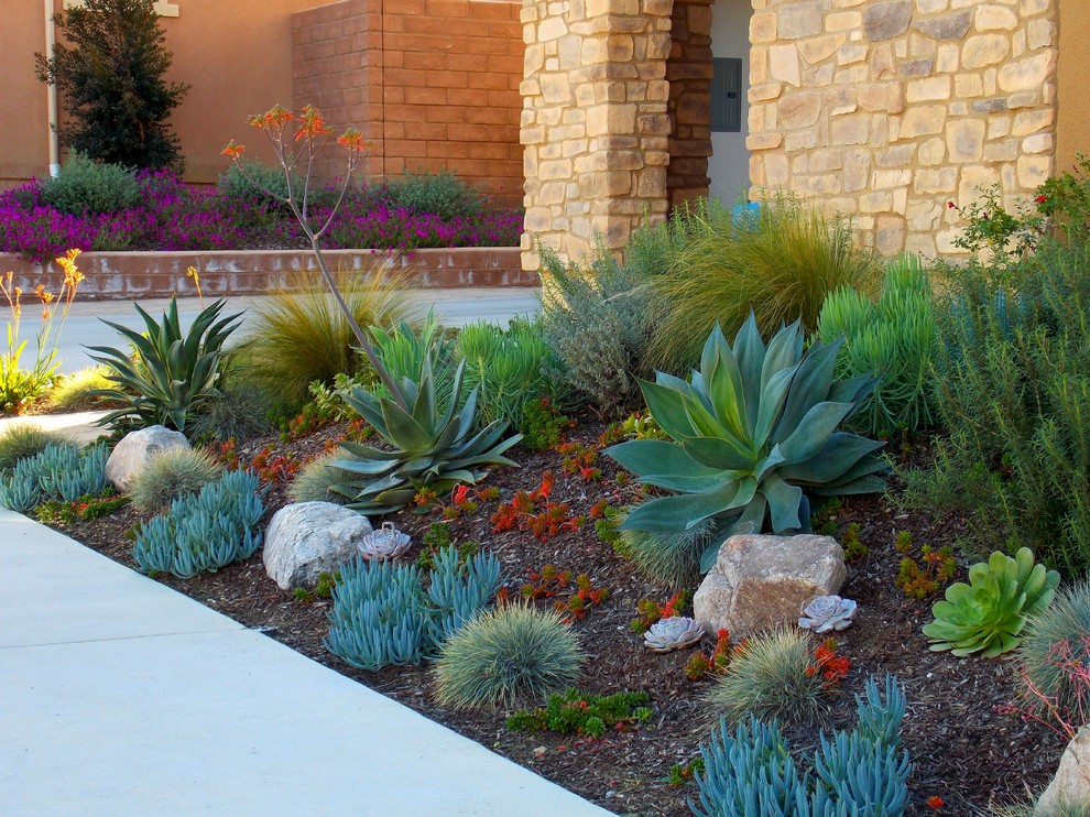 Mediterranean front xeriscape garden for spring in Orange County with gravel.