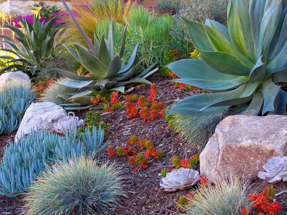На фото: весенний засухоустойчивый сад на переднем дворе в средиземноморском стиле с покрытием из гравия