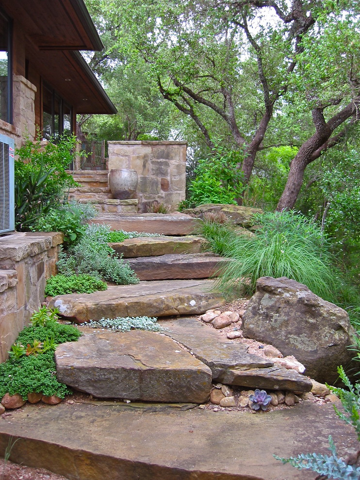 Design ideas for a contemporary side yard landscaping in Austin.