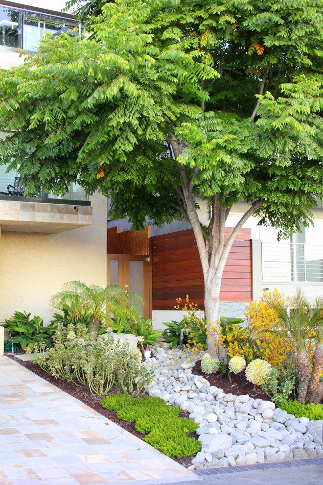 Design ideas for a contemporary front driveway garden in Orange County with decorative stones.