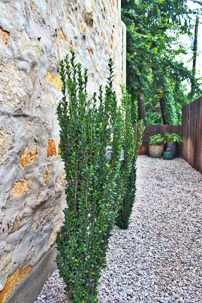 Inspiration for a small contemporary courtyard xeriscape garden in Austin with gravel.