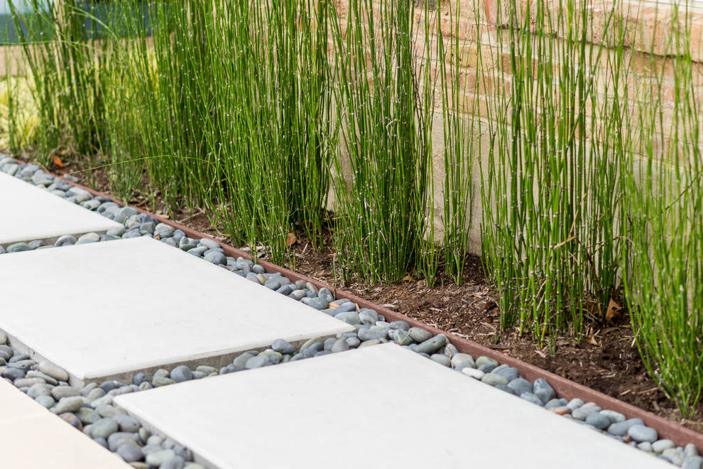 Design ideas for a medium sized contemporary back partial sun garden for summer in Dallas with concrete paving.