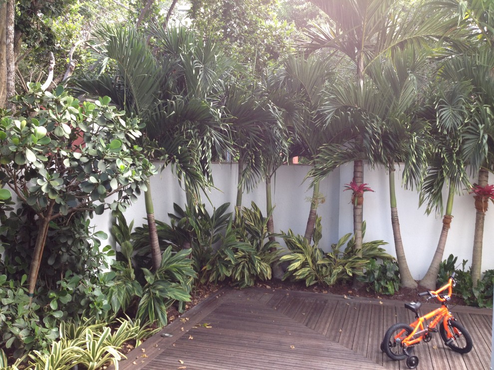 Diseño de jardín tropical pequeño en patio trasero con entablado