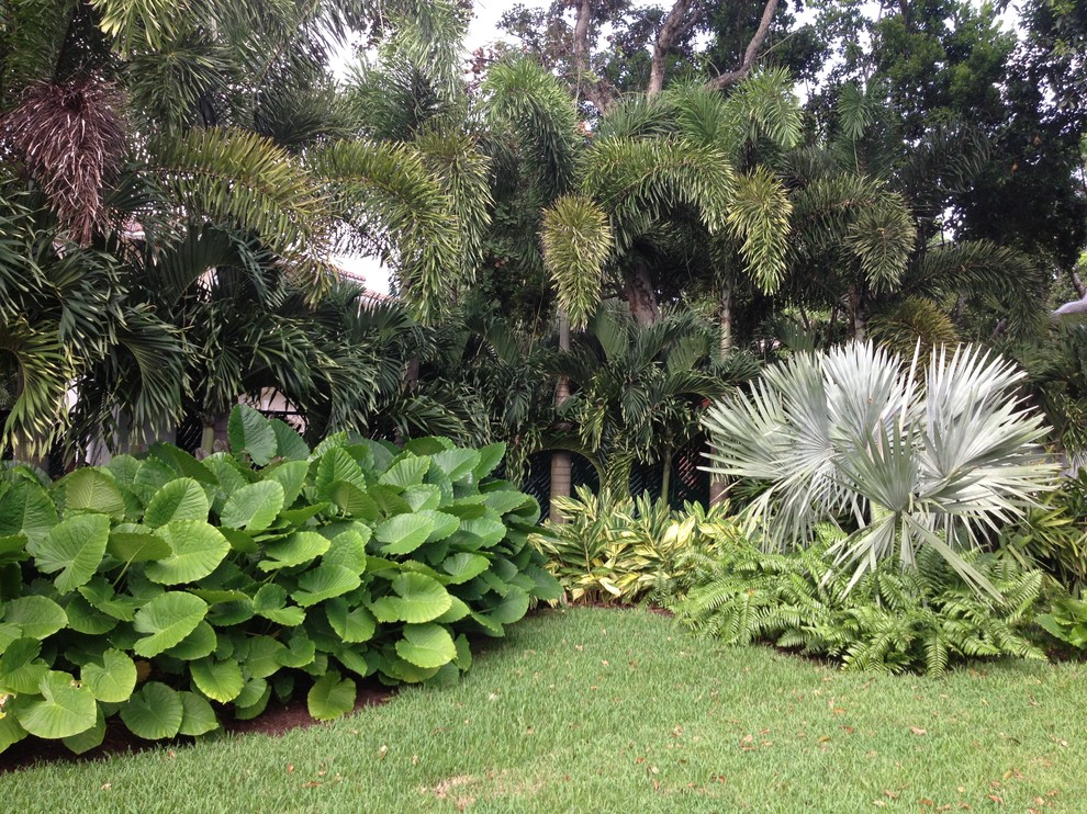 Moderner Garten in Miami