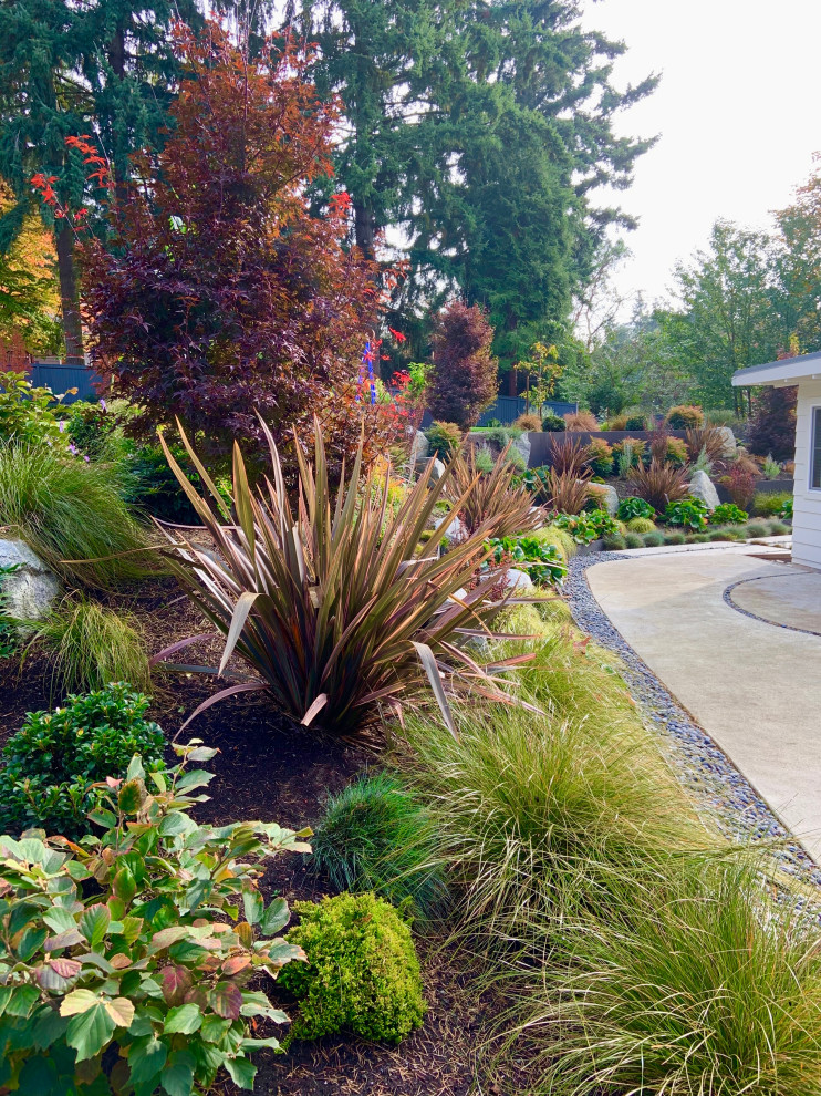 Photo of a huge mid-century modern drought-tolerant backyard landscaping in Seattle.