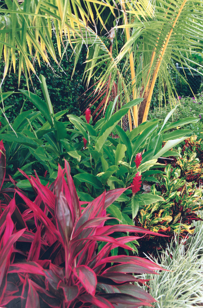 This is an example of a tropical full sun backyard mulch formal garden in Miami for summer.