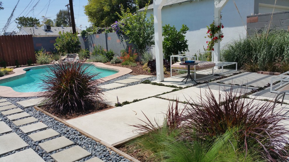 Ispirazione per un giardino xeriscape moderno esposto in pieno sole di medie dimensioni e dietro casa con pavimentazioni in cemento