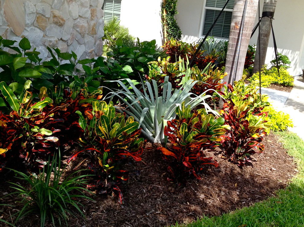 Inspiration for a tropical garden path in Orlando.