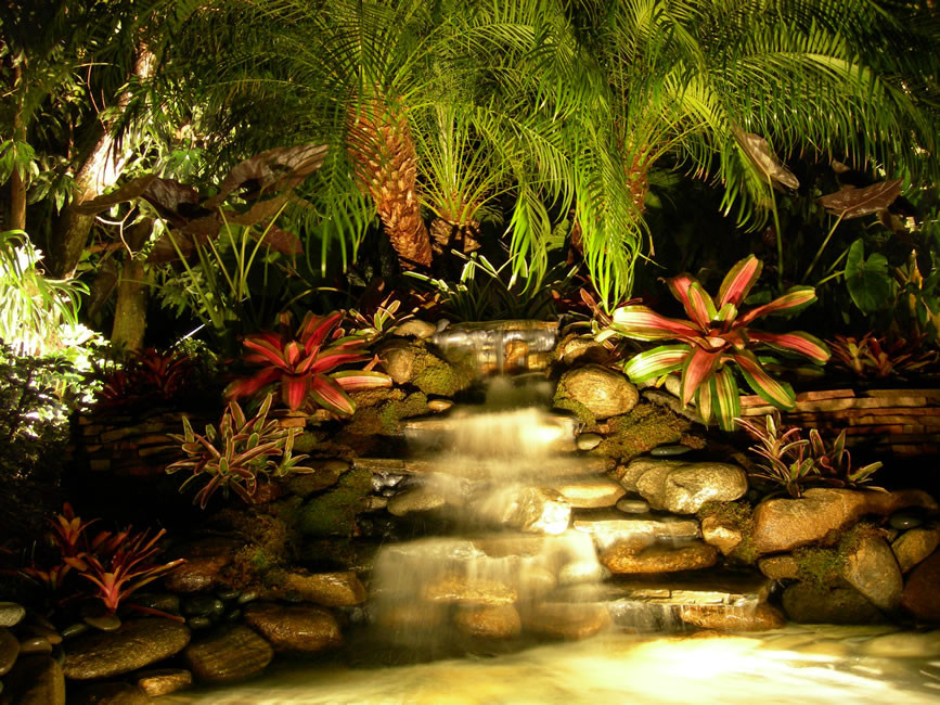 Ejemplo de jardín exótico de tamaño medio en patio trasero con estanque y piedra decorativa