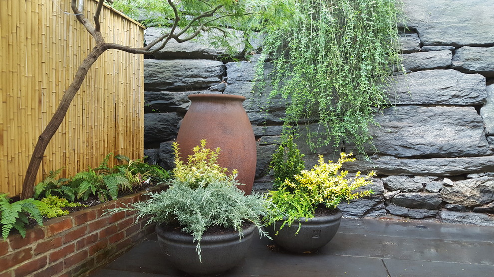Esempio di un piccolo giardino formale moderno in ombra dietro casa in inverno con pavimentazioni in pietra naturale