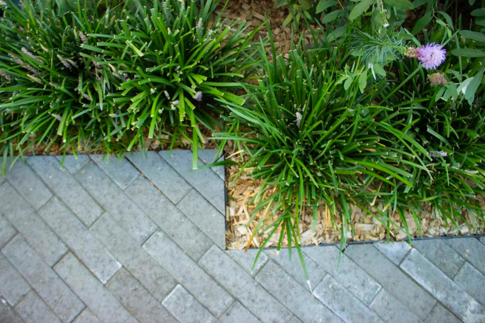Inspiration pour un petit jardin arrière minimaliste avec des solutions pour vis-à-vis, une exposition ombragée et des pavés en brique.