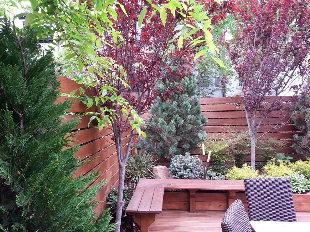 Esempio di un grande giardino formale minimalista esposto in pieno sole davanti casa in primavera con pedane