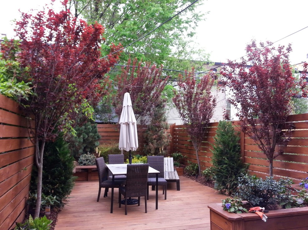 Esempio di un grande giardino formale moderno esposto in pieno sole davanti casa in primavera con pedane
