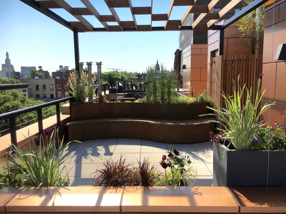 Mittelgroßer Moderner Dachgarten im Sommer mit direkter Sonneneinstrahlung und Betonboden in New York