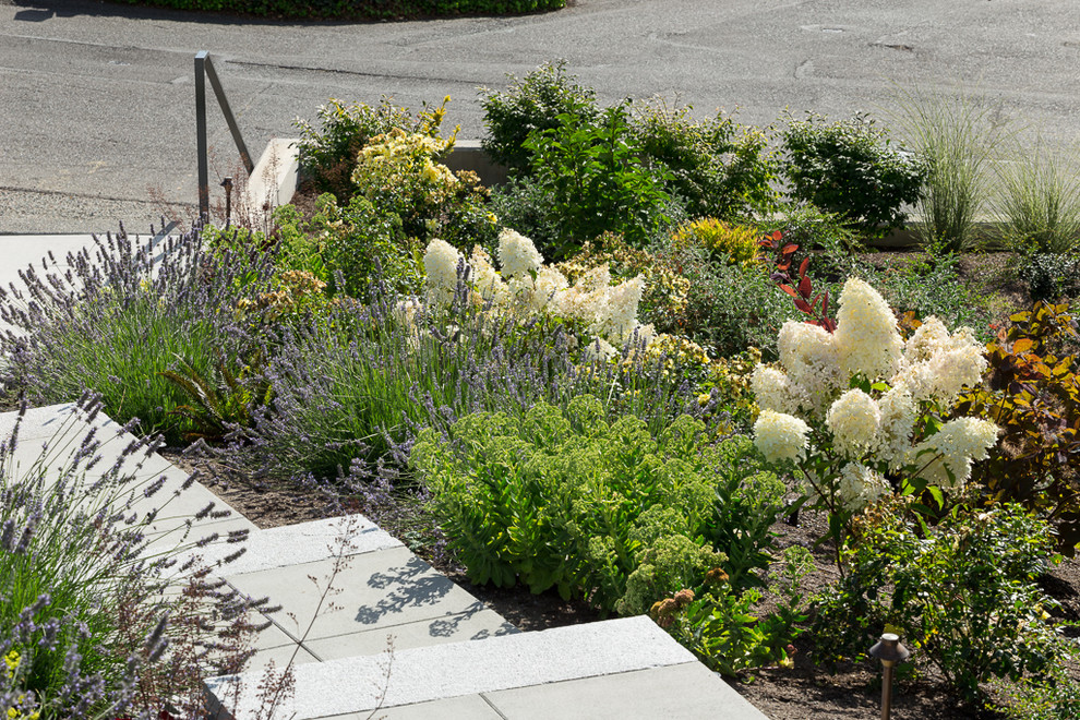 Idee per un grande giardino moderno esposto in pieno sole davanti casa con un muro di contenimento e pavimentazioni in cemento