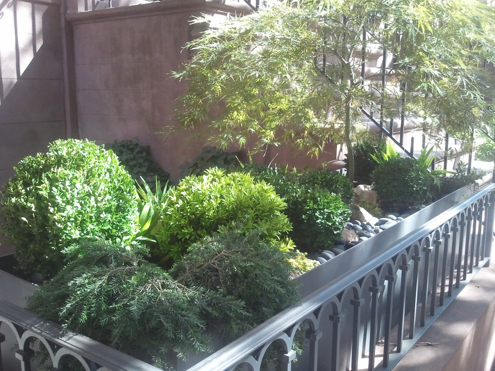 Photo of a contemporary garden in New York.