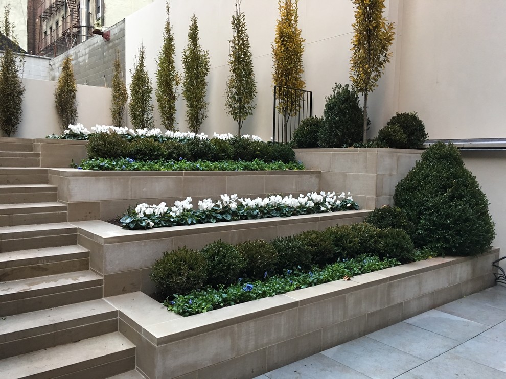 Réalisation d'un jardin arrière minimaliste de taille moyenne avec une exposition ensoleillée et des pavés en béton.