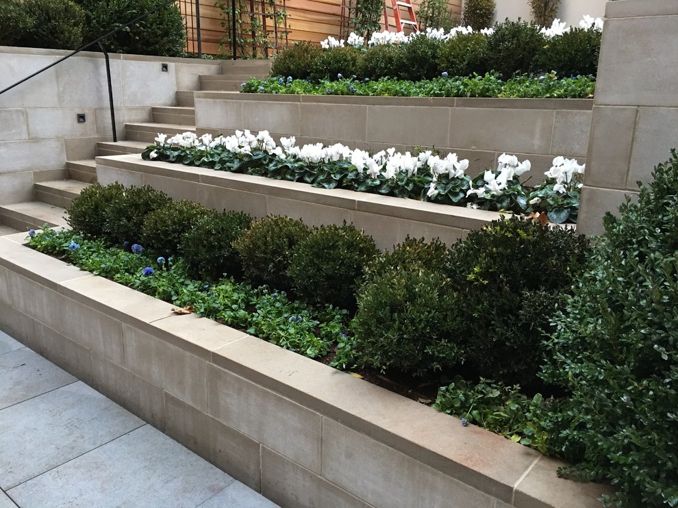 Inspiration for a medium sized modern back full sun garden in New York with concrete paving.