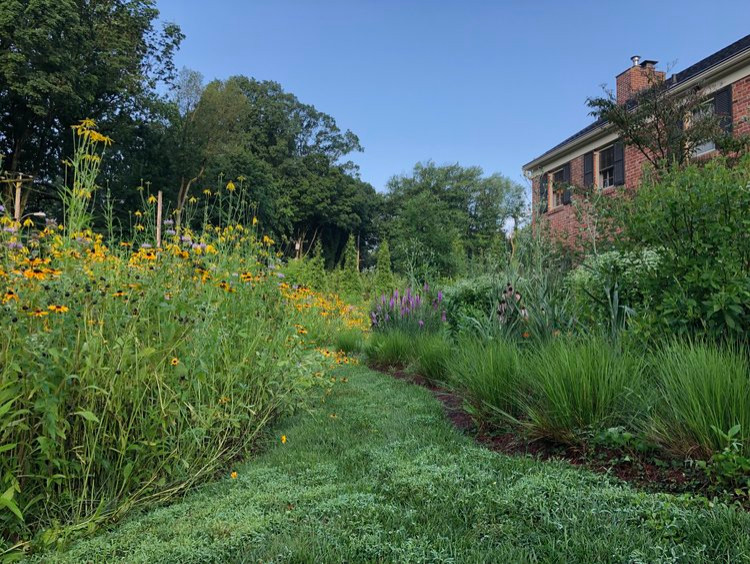 Photo of a large traditional full sun front yard landscaping in Philadelphia.