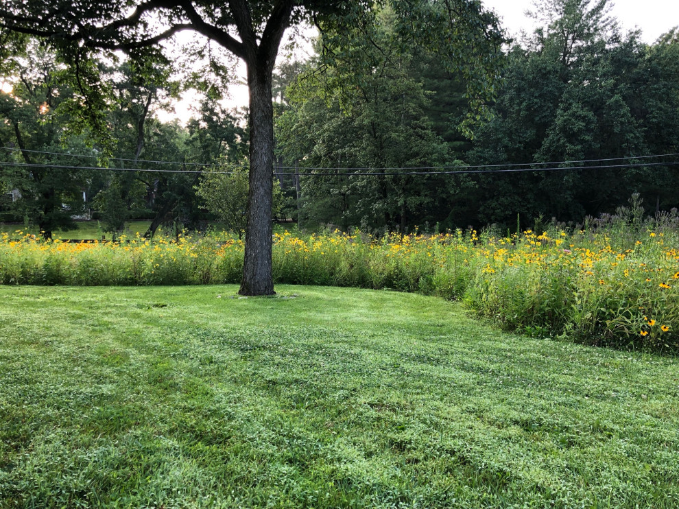 Bryn Mawr, PA Native Meadow Design/Install Rustic Landscape