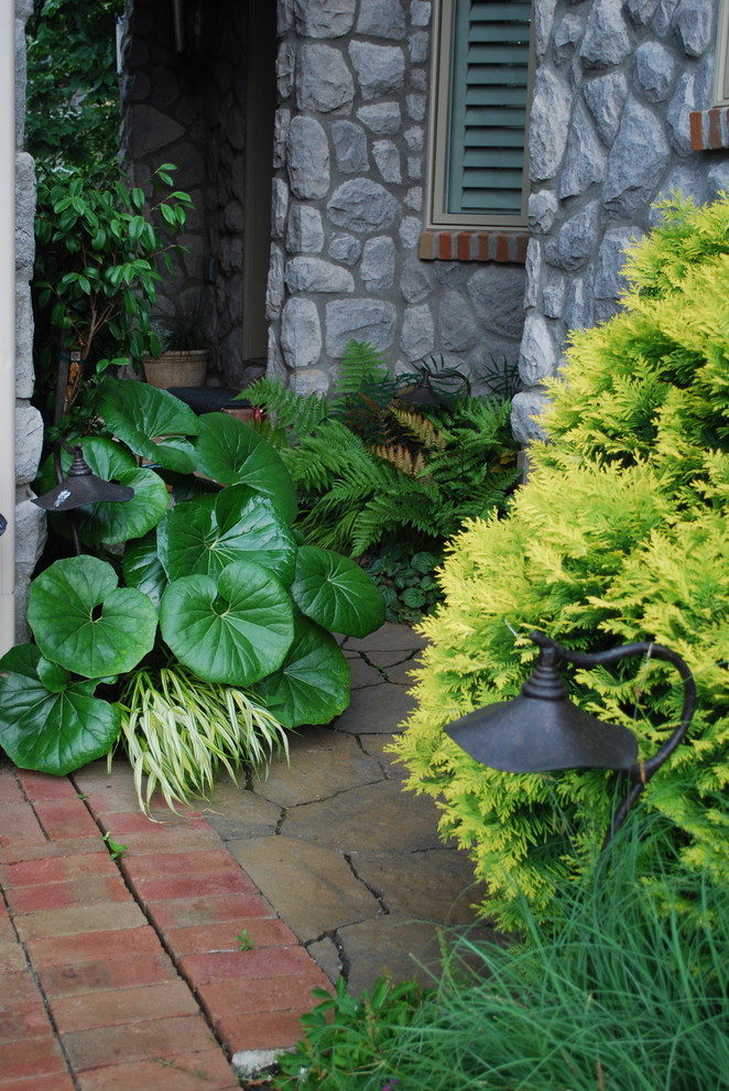 BSR Project Revisited 8 months later. By Sifford Garden Design