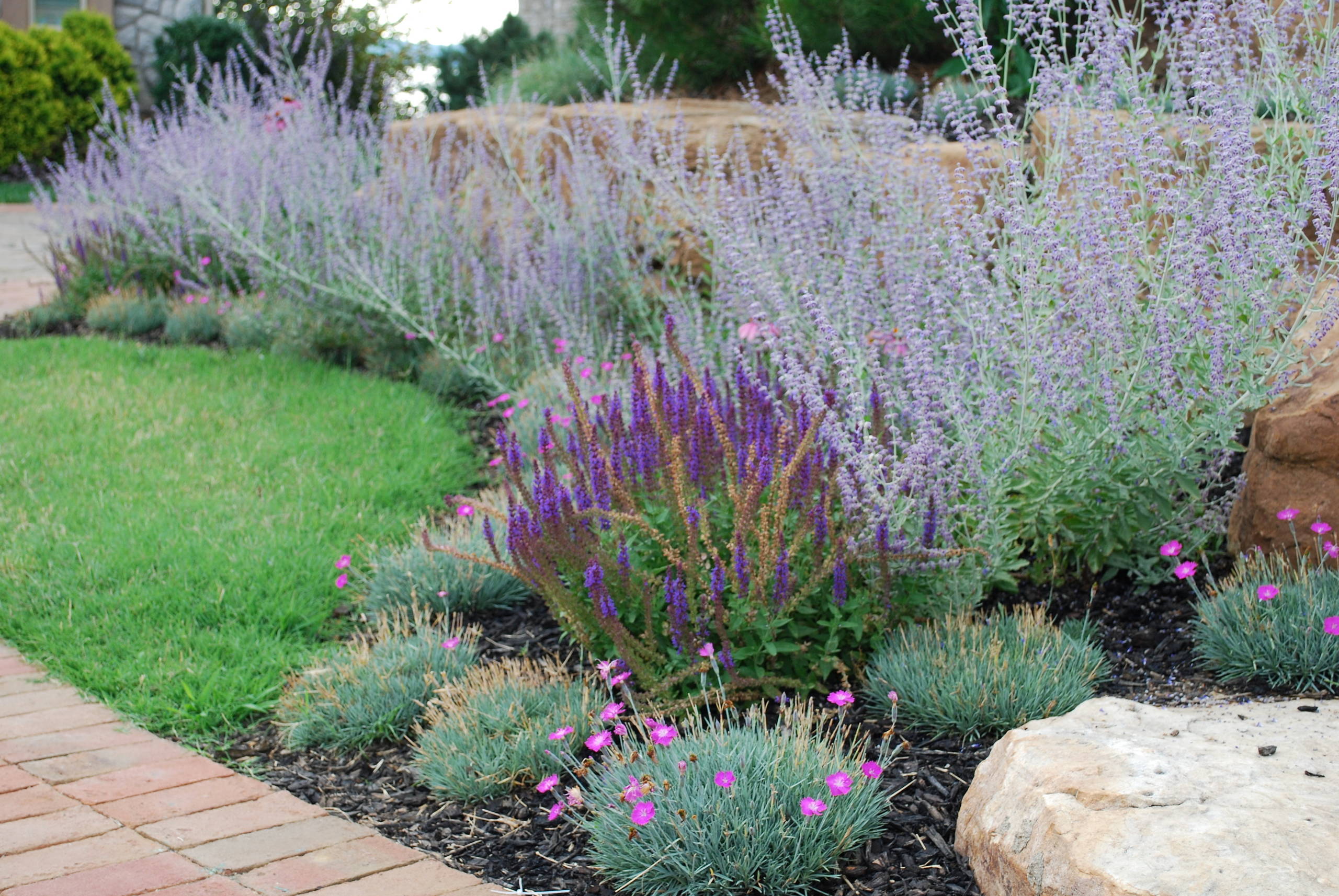 Texas Sage Houzz